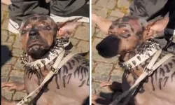 Köpeğe benzeyen adam yapay zeka videosu mu, gerçek mi?