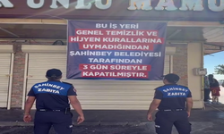 Ölü haşerelerin bulunduğu fırına 3 gün kapatma cezası