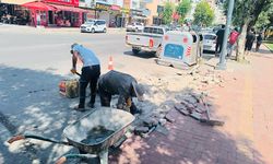 Parke Yama Ekipleri 45 Mahallede Kesintisiz Çalışıyor