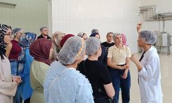 Stajyer öğrenciler süt fabrikasında üretim süreçlerini inceledi