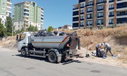 Temizlik İçin Kentte Girilmedik Sokak Bırakılmıyor