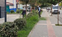 Yeşil Dokuya Estetik Görünüm