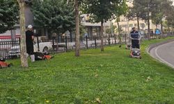 Yeşil Dokuya Estetik Görünüm