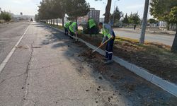 Batman’da Ulaşım ve Peyzaj Atağı