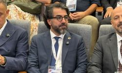 Batmanlı Prof. Dr. Şerafettin Demir’den Dünya Çapında Başarı