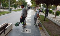 Kent Genelinde Hummalı Temizlik Çalışması