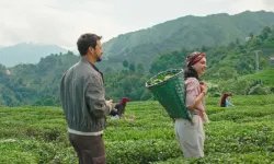 Kalbimin Rotası Karadeniz 1. Bölüm Nereden İzlenir? Mert Yazıcıoğlu ve Cemre Baysel'in Yeni Dizisi Hangi Platformda Yayınlanıyor? Kalbimin Rotası Karadeniz Ücretsiz mi?