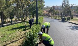 Parklarda eş zamanlı temizlik ve bakım çalışması