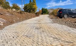 Sason köylerinde 44 bin 300 metrekarelik parke seferberliği