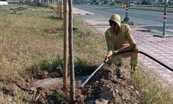 Yeşil Kuşak’ta Sonbahar Bakımı Başladı
