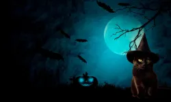 Cadılar Bayramı’nı (Halloween) Kutlamak İslam Dinen Günah mıdır ve Pagan Kökenli Ritüellerin Hükmü Nedir?