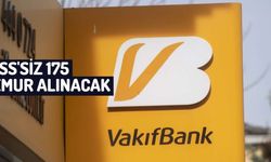 Vakıfbank 175 Müfettiş Yardımcısı, BT Müfettiş Yardımcısı, Kontrolör Yardımcısı ve BT Kontrolör Yardımcısı Alıyor; Son Başvuru Tarihi ve Şartları Ne Olacak?