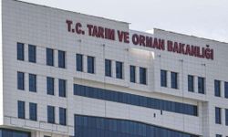 TARIM VE ORMAN BAKANLIĞI 13 SÖZLEŞMELİ BİLİŞİM PERSONELİ ALACAK: BAŞVURU ŞARTLARI NELER, SON BAŞVURU TARİHİ NE ZAMAN?