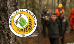 ORMAN GENEL MÜDÜRLÜĞÜ (OGM) 12 MÜFETTİŞ YARDIMCISI ALACAK! BAŞVURU ŞARTLARI NELER, SON BAŞVURU TARİHİ NE ZAMAN?