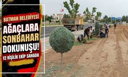 Ağaçlara Sonbahar Dokunuşu! 12 Kişilik Ekip Sahada