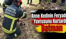 Anne Kedinin Feryadı Yavrusunu Kurtardı