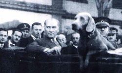 Atatürk’ün Köpeğinin Adı Nedir? En Çok Sevdiği Köpeği Hangisidir? Foks Nerede Sergileniyor?