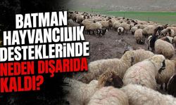 Batman Hayvancılık Desteklerinde Neden Dışarıda Kaldı?