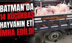 Batman’da 14 küçükbaş hayvanın eti imha edildi