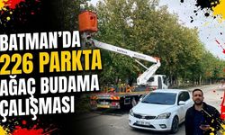 Batman’da 226 Parkta Ağaç Budama Çalışması