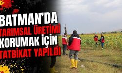 Batman’da Tarımsal Üretimi Korumak İçin Tatbikat Yapıldı