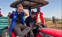 Binatlı’da fıstık hasadına gönüllü destek