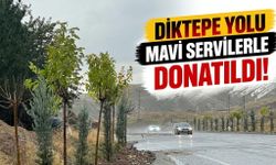 DİKTEPE YOLU MAVİ SERVİLERLE DONATILDI