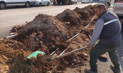 Batman’da Park ve Yeşil Alanlarda Kış Hazırlığı