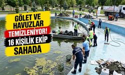 Gölet ve Havuzlar Temizleniyor! 16 Kişilik Ekip Sahada