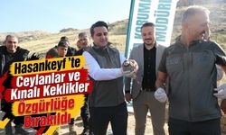 Hasankeyf’te Ceylanlar ve Kınalı Keklikler Özgürlüğe Bırakıldı