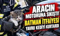 Batman’da Araç Motorunda Mahsur Kalan Yavru Kedi Kurtarıldı