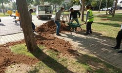 İki Park Baştan Aşağı Yenileniyor