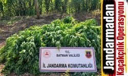 Jandarmadan Kaçakçılık Operasyonu