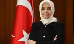 Finlandiya Büyükelçisi Ayşe Hilal Sayan Koytak Kimdir? Yaşı, Eğitimi ve Diplomatik Kariyeri