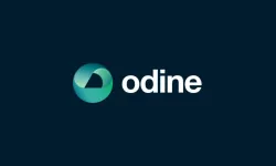 Odine Hisse Neden Çöktü? Yatırımcıları Ağır Zarara Uğratan Soruşturmanın Detayları Ne? Şirket Yöneticileri Neden Tutuklandı?