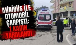Minibüs ile Otomobil Çarpıştı: 1 Kadın Yaralandı