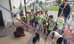 Minik Öğrencilerden Can Dostlara Ziyaret