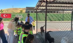 Minik Öğrencilerden Hayvan Dostlarına Sevgi Ziyareti