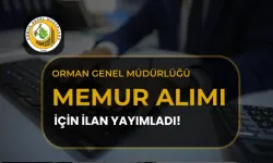 ORMAN GENEL MÜDÜRLÜĞÜ 12 MÜFETTİŞ YARDIMCISI ALACAK! BAŞVURU ŞARTLARI NELER, SON BAŞVURU TARİHİ NE ZAMAN?
