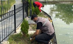 Park Ve Yeşil Alanlar Kış Mevsimine Hazırlanıyor