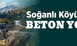 Soğanlı Köyüne Beton Yol