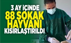 3 AYDA 88 SOKAK HAYVANI KISIRLAŞTIRILDI