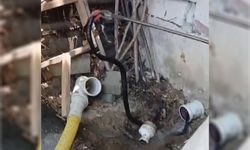 Bir buçuk metrelik yılan korkulu anlar yaşattı