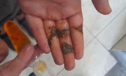 Çocukları bekleyen tehlikeyi gözler önüne serdi