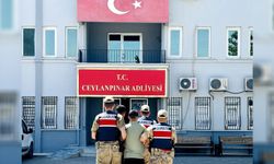 Suçüstü yakalandılar