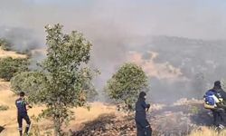 Midyat'ta 3 ayrı noktada örtü yangını