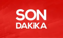 Avukat yol kenarında ölü bulundu