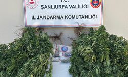 Uyuşturucu operasyonunda 3 kişi gözaltına alındı