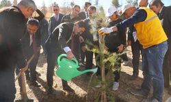 101 FİDAN TOPRAKLA BULUŞTU