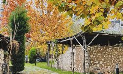 Müzepark’ta Sonbahar güzelliği